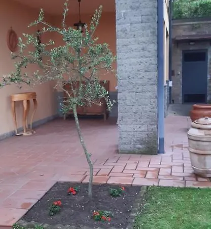 Dei Pini *