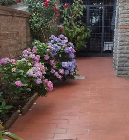 Dei Pini Montefiascone